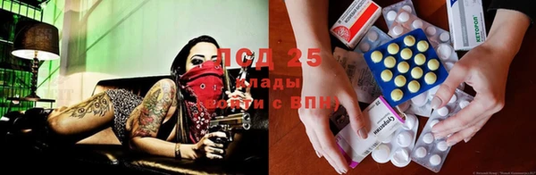 дмт Дмитровск