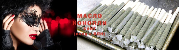 дмт Дмитровск
