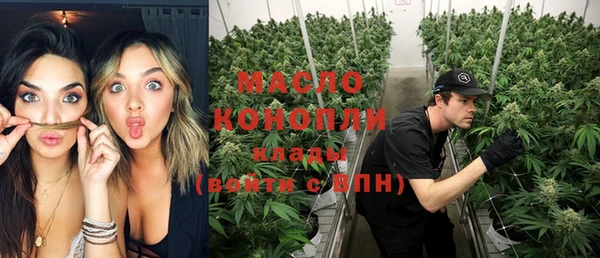 дмт Дмитровск