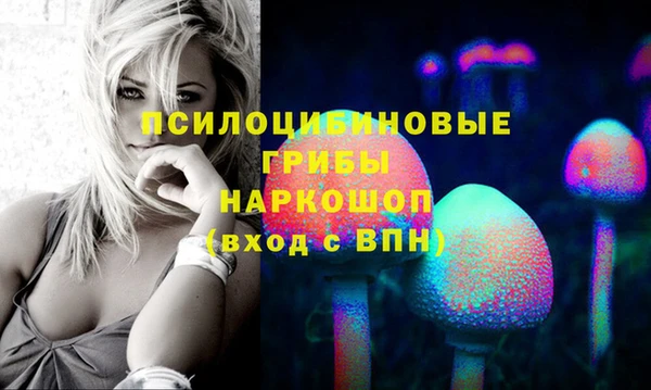 гидра Гусь-Хрустальный