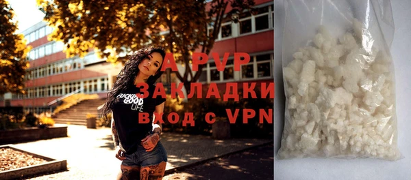 PSILOCYBIN Дмитриев