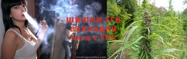 PSILOCYBIN Дмитриев