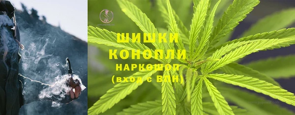 мдпв Щигры