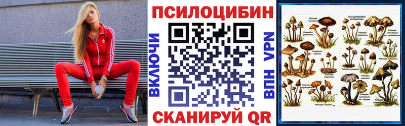 продажа наркотиков  Железноводск  Галлюциногенные грибы Psilocybine cubensis 