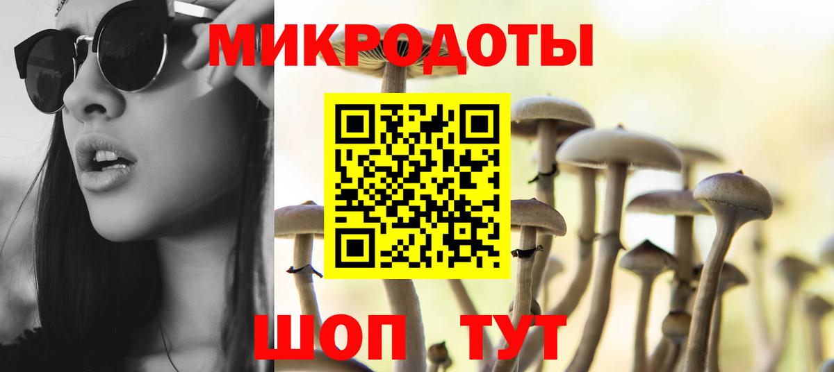 Галлюциногенные грибы MAGIC MUSHROOMS  Железноводск  магазин продажи   Псилоцибиновые грибы Psilocybine cubensis 